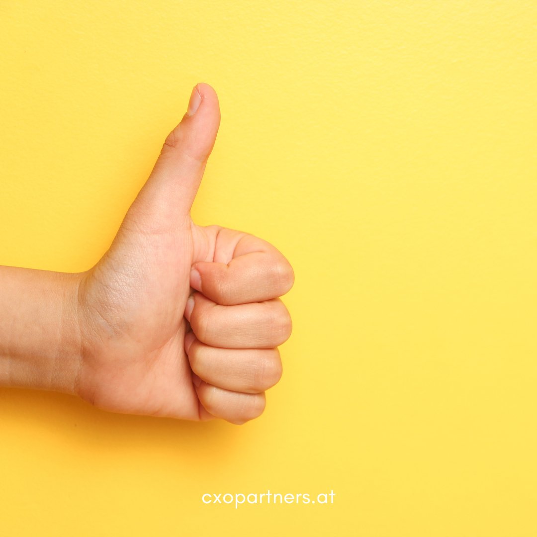 SaaS KI DICE Plug & Play Demotermin - CXO Partners GmbH dein Digitalisierungspartner für automatisierte Geschäftsprozesse von KMUs